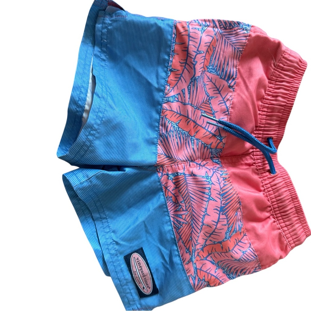 Kids Pink and Blue Swim Shorts